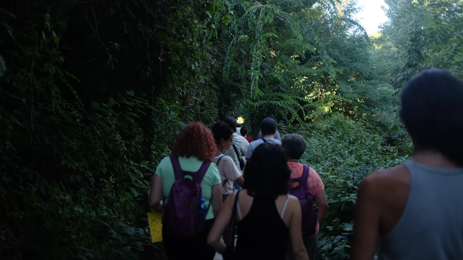 Passeggiata lungo il Navile tra la vegetazione